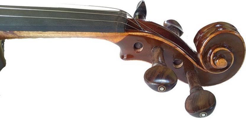 musical works 4/4 Semi- Acoustic Violin  (BROWN Yes)