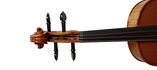 Musical Works "Profefessional Violin Kit for Aspiring Musicians - Handcrafted Sound, Friendly - Includes Bow, Case, and Accessories" (Violin 4/4 With Horse Hair)