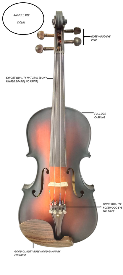 Musical works 4/4 Semi- Acoustic Violin